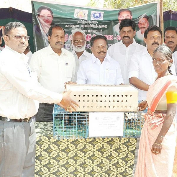 `விலையில்லாப் பொருள்களுக்கு மதிப்பு இருக்காது!’ - அமைச்சர் பேச்சால் பரபரப்பு