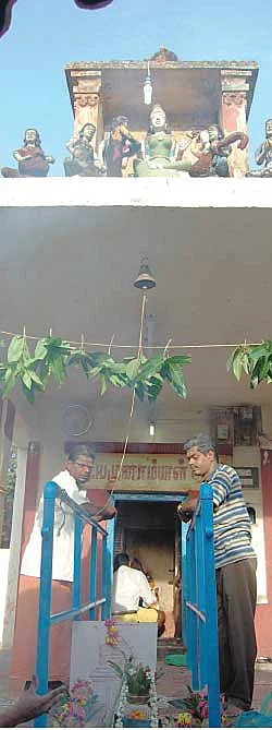 மகத்தான வரங்கள் தரும் மாமரம்!