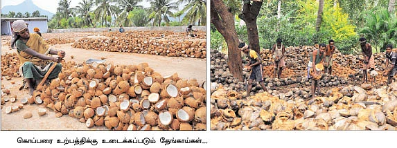 ஆடு +தென்னை +மா