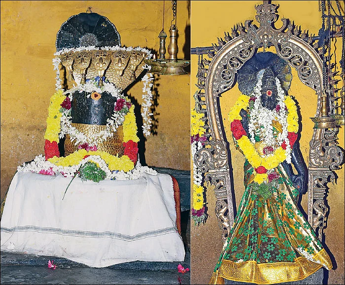 `இங்கே நடப்பது சிவகாமியின் ஆட்சி!’