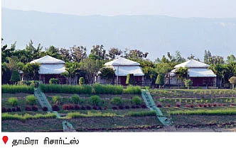 அபாயக் கட்டத்தில் மேற்குத் தொடர்ச்சி மலை!