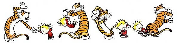 CALVIN AND HOBBES