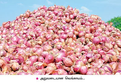 ஏக்கருக்கு18 ஆயிரம் ரூபாய் மிச்சம்... செலவு குறைகிறது... மகசூல் கூடுகிறது....