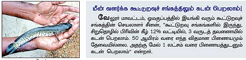 5 சென்ட் குளம்... 8 மாத காலம்... 1,25,000 லாபம்...