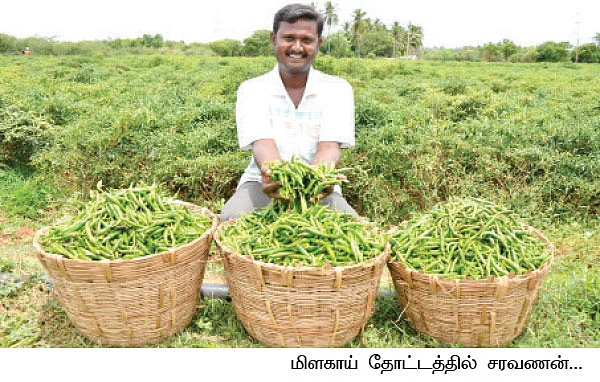 5 ஏக்கர்... 200 நாட்கள்... 7,50,000!