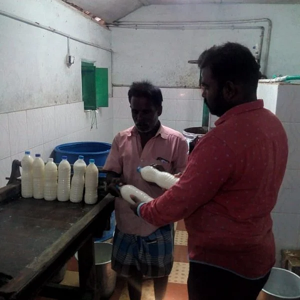 இங்கு யாரும் வாட்டர் பாட்டில் வாங்க மாட்டார்களாம்! - மோர் வாசம் மணக்கும் ஊத்துக்குளி #MyVikatan