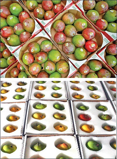 அள்ளித்தரும் அக்கரைச் சீமை... ஏற்றுமதிக்கு வழிசொல்லும் வெற்றி சூத்திரங்கள்! - 4