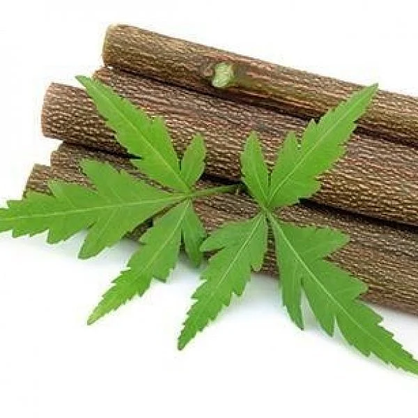 ஆல், வேல், பலா, நாயுருவி, வேம்பு, விளா... பற்களைக் காக்கும் இயற்கை பிரஷ்கள்!