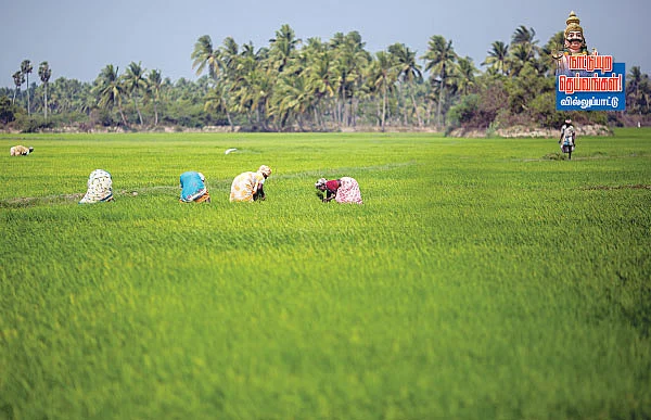 நாட்டுப்புற தெய்வங்கள் - வில்லுபாட்டு