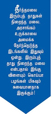 சிங்கம் சிலிர்த்து நிற்கும் தீர்த்த ம்லை!