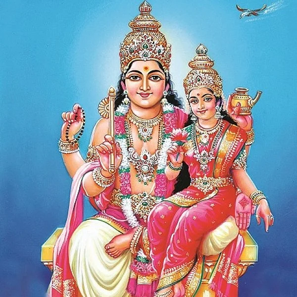 உங்களுக்கான சுக்கிர யோகம் எப்படி..? - ராசி வாரியாக ஒரு ஜோதிட அலசல் #Astrology