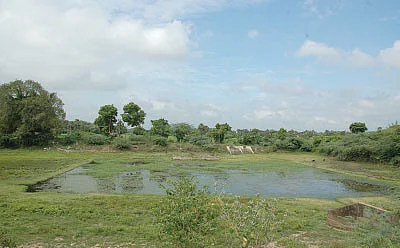 ஆலயம் தேடுவோம்