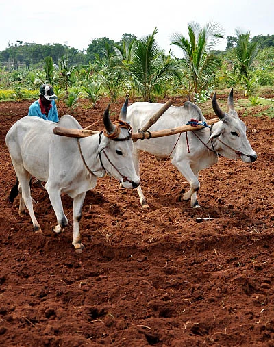 ”தமிழ்நாட்டில் மண்வளம் குறைகிறது!”