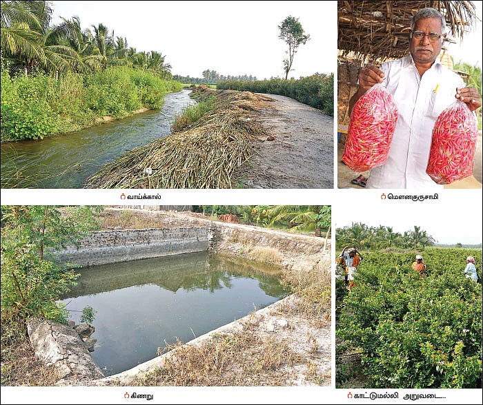 12 ஏக்கர், ரூ.23 லட்சம்... சம்பங்கி, அரளி, காட்டு மல்லி, செவ்வந்தி... மலர்ச் சாகுபடியில் மணக்கும் லாபம்!