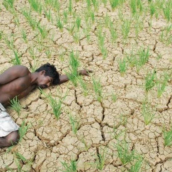 இந்தியாவில் ஆண்டுக்கு 12,000 விவசாயிகள் தற்கொலை - மத்திய அரசு