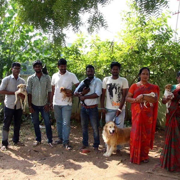 ``பாம்புக்கு வைத்தியம் பண்ணி வீட்ல வச்சிருந்தோம்!" - விலங்குகளை அரவணைக்கும் இளைஞர் படை