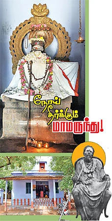 நோய் தீர்க்கும் மாமருந்து!