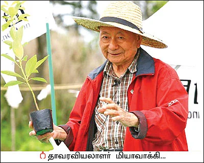 மியாவாக்கி... மரம் வளர்ப்பின் அடுத்தகட்டம்! - குறைந்த இடத்தில் அதிக மரங்கள்!