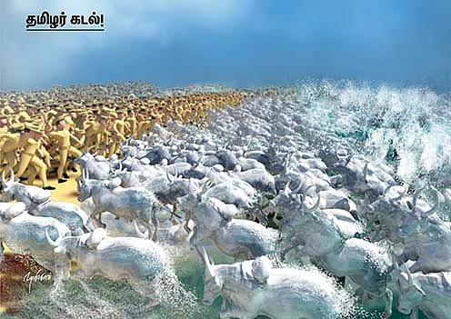 ``என் டாப் 20 கார்ட்டூன்கள் உருவான கதை!’’ - `கலாட்டூன்’ ஹாசிப் கான் #HBDHasif