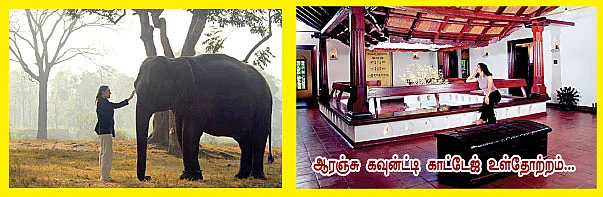 ஜாய்ஃபுல் ஆம்பிவேலி... கலர்ஃபுல் லாவாசா !