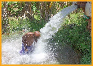 கோடை காலப் பராமரிப்பு