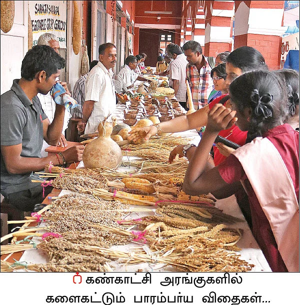 பாரம்பர்யத்தை விதைத்த விதைத் திருவிழா..!