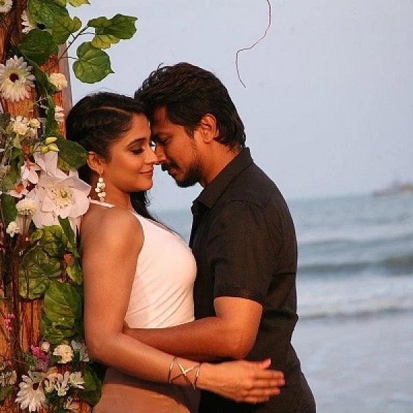 உதயநிதி அரசியலுக்கு சரி வருவாரா?! - 'சரவணன் இருக்க பயமேன்' விமர்சனம்