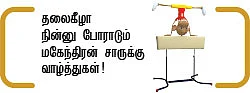 'ஆல் இன் ஆல்’ அம்மா நகர் !