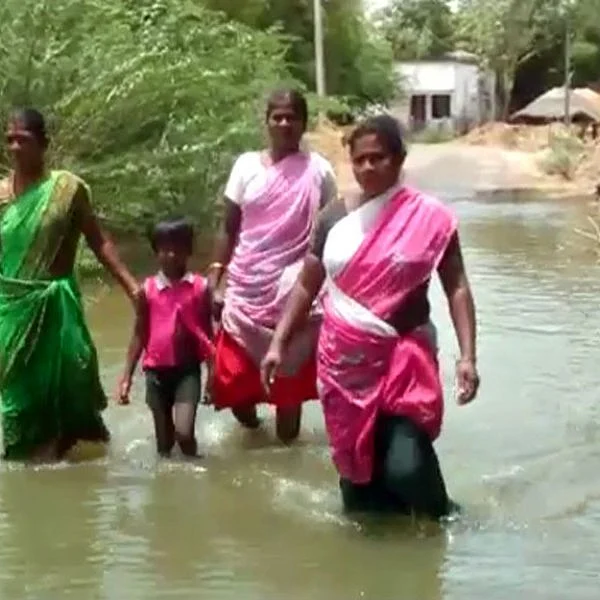 கிராமத்துக்குள் புகுந்தது வெள்ளம்... ஆடு, மாடுகளுடன் தவிக்கும் மக்கள்