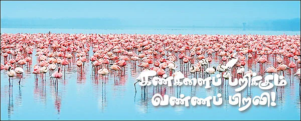 மாயா டீச்சரின் மந்திரக் கம்பளம்!