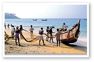 வலையோசை : காலப்பறவை