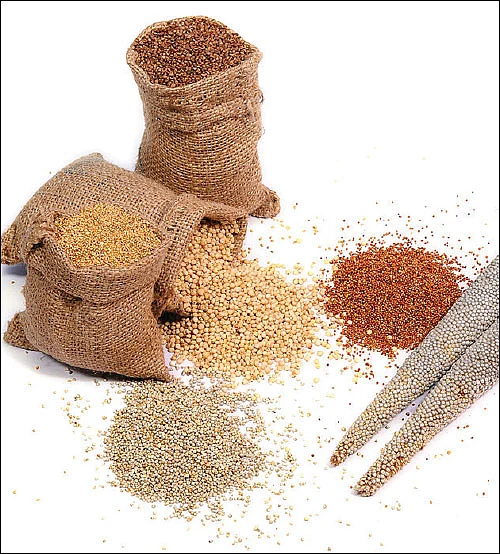 நீங்கள் கேட்டவை - வெட்டிவேர் பயிரிட்டால் நிலம் வளமாகுமா?
