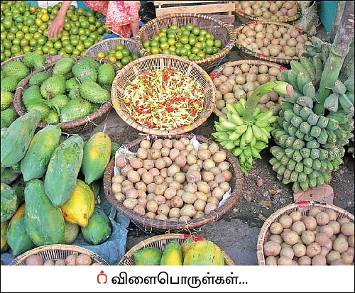 பாரம்பர்ய பயிர்களைப் பாதுகாக்கும் பன்னாட்டு அமைப்பு!