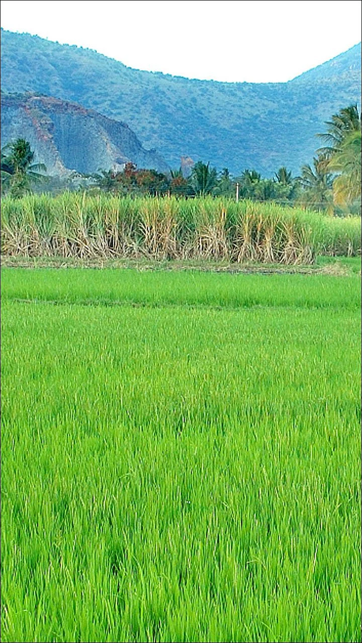 கிஸான் கிரெடிட் கார்டு வாங்குவது எப்படி?