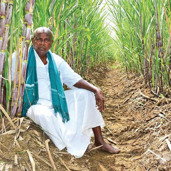 “ரசாயன விவசாயத்தில் ஜெயித்தவர்களைக் காட்டினால் 2 லட்சம் ரூபாய் பரிசு...” துணைவேந்தருக்குச் சவால்விடும் ‘புளியங்குடி’ அந்தோணிசாமி!
