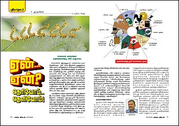 கடுதாசி: ஆலம்பாடியை அங்கீகரிக்க வேண்டும்!
