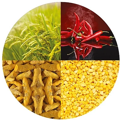 ஆயிரம் சூரியன் ஆயிரம் சந்திரன் ஒரே ஒரு பூமி - 13