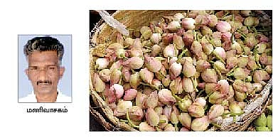 நீங்கள் கேட்டவை