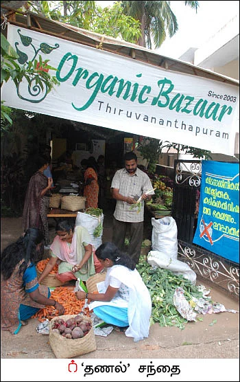 விளையும் விலையும்! - சந்தைக்கு வழிகாட்டும் தொடர் - 13
