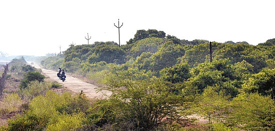 'வெள்ளி, சனி, ஞாயிறு... ஆறு மணிக்கு மேல...'