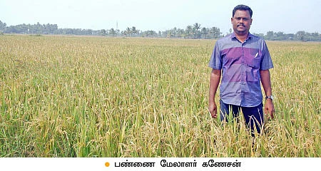 90 ஏக்கர் இயற்கைப் பண்ணை... ஆண்டுக்கு 5,400 மூட்டை நெல்!