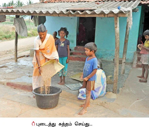 மூங்கில் அரிசி... இயற்கையின் அற்புதக் கொடை!