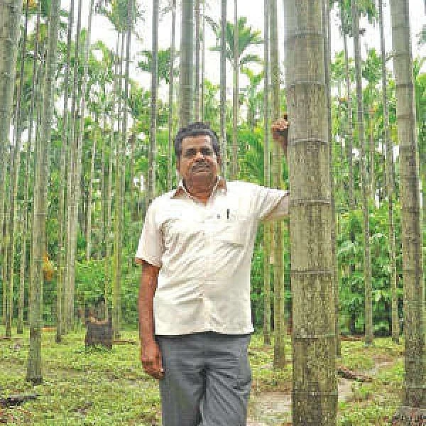 Banker then... Organic farmer now... A success story..!