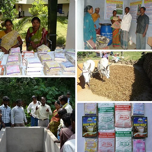 அபூர்வ மூலிகைகள்...சிறுதானியங்கள்...கொல்லிமலை சொல்லும் ரகசியங்கள்!