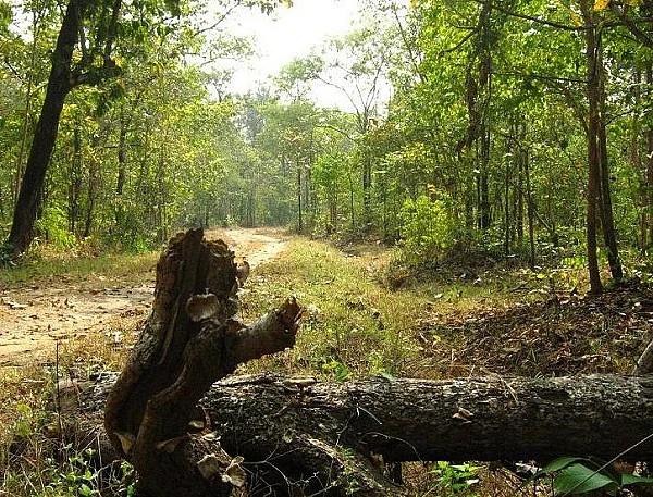 பழங்குடியினரை போராட்ட எரிபொருளாக்கும் மாவோயிஸ்டுகள்! ( பகுதி-1)