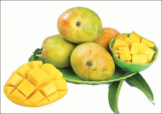 சேலம் 150 - இன்ஃபோ புக்