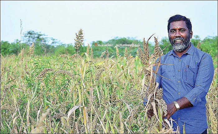 குதிரைவாலி... விதைப்பு, அறுவடை மட்டுமே... ஆடிட்டரின் அசத்தல் விவசாயம்!