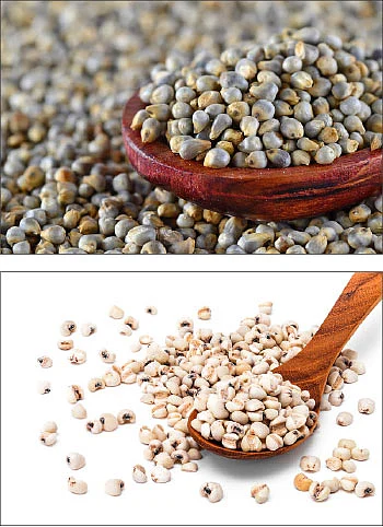 உணவின்றி அமையாது உலகு - 17