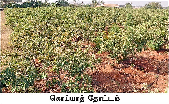 தமிழகம் இன்ஃபோ ஸ்பெஷல் #4 - மதுரை 200 - இன்ஃபோ புக்