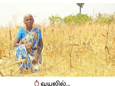 விவசாயிக்கு மரியாதை...!